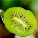 ��⨺���TV2026�ٷ����°汾v9.9.9 �ֻ���