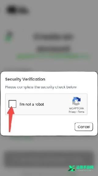 anuneko�׹���AI�����ֻ���