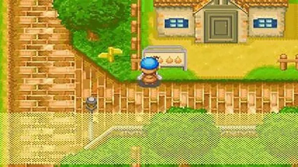 ���������ʯ��Ļ����2013������(����������Ϸ)