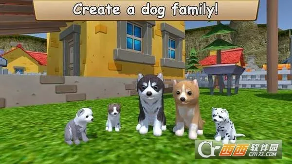 ����Zoom����2026�ٷ�����