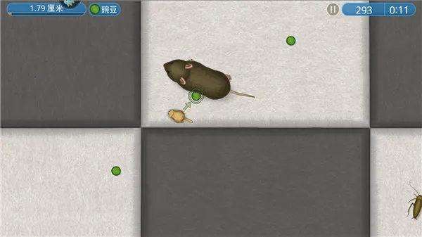 ������ζ����(��ζ����4����)