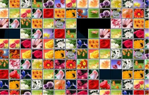 ����������2026�ٷ�����v1.0 �ٷ�����