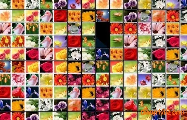 ����������2026�ٷ�����v1.0 �ٷ�����