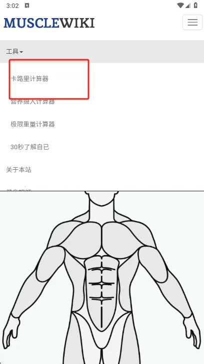 Muscle Wiki2026���ذ�װv3.0.9 �ֻ���
