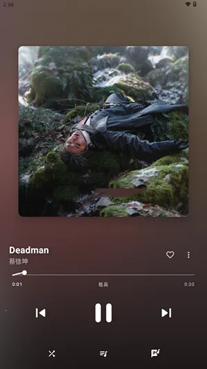 梅花音乐安卓版手机版 梅花音乐安卓版手机版