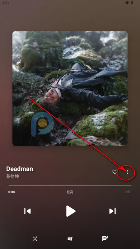 梅花音乐 梅花音乐