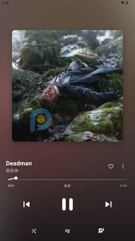 梅花音乐 梅花音乐