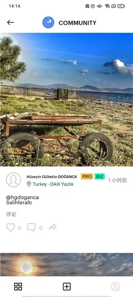 Windy��ɫ����(�������Ӧ��)v1.05 ��׿��