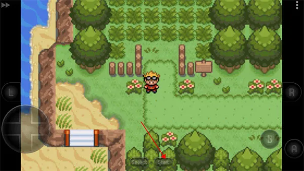 �ڴ��������뱦������(���뱦����Ϸ)