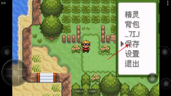 �ڴ��������뱦������