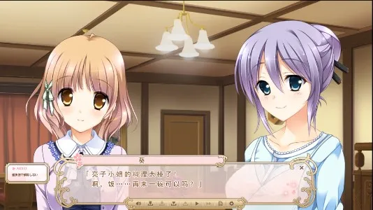 ӣ����Ů��������(�����Ӿ���Ϸ)