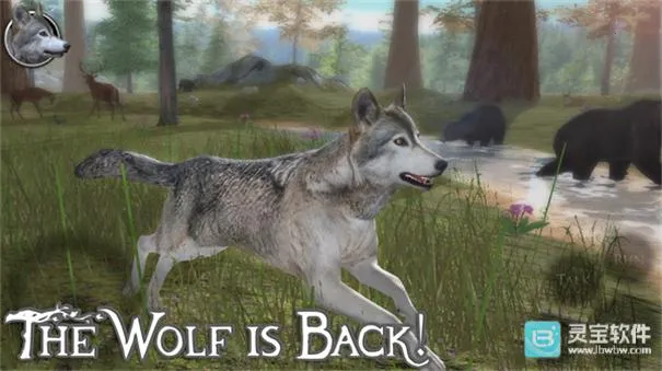 ��Ⱥģ����(��������ģ����Ϸ)