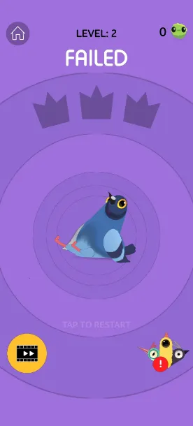 pigeon games(����������Ϸ)v1.1 �ֻ���