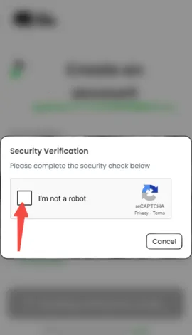 AnuNeko2026�ٷ�����v1.0.2 �ֻ���