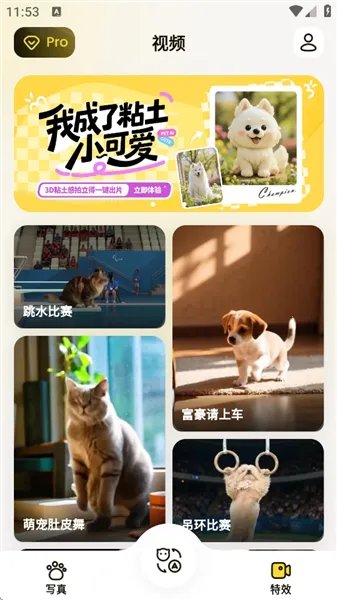 ����(���ﻥ������)