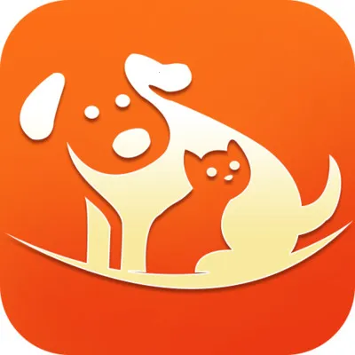 �����2026�ٷ�����