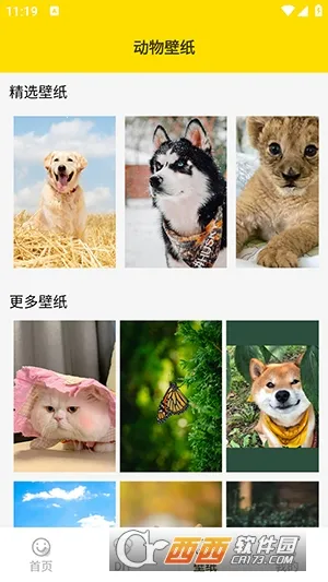 ���ӱ����(�������������)v1.5 �ֻ���