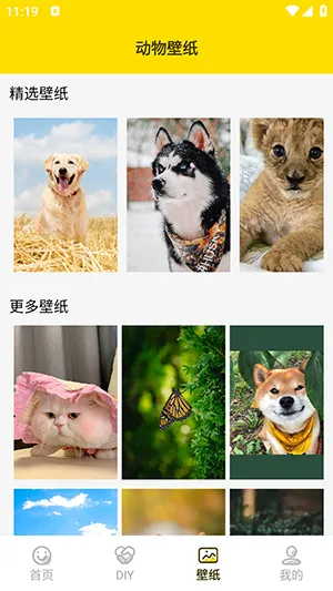 ���ӱ����(�������������)v1.5 �ֻ���