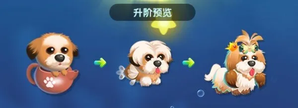 ���������ƽ�����޽����ʯ