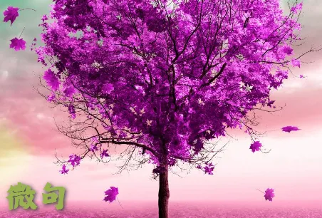 ΢��(�İ��̾乤��)