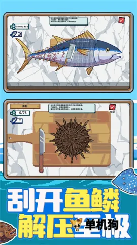 �Ϻ�С���2026���ذ�װ