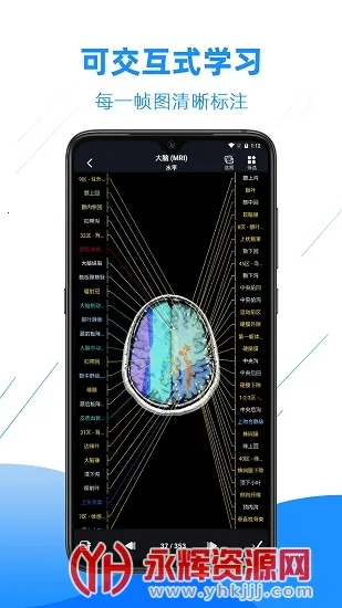 Ӱ�����ͼ��(ҽѧ����ѧϰ����)v4.6.2 ��Ѱ�