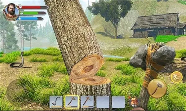 ������Ŷ�2026�ٷ����°汾