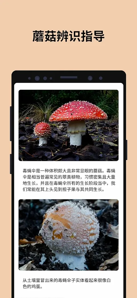 Picture Mushroom(Ģ��ʶ������)v2.9.30 ��׿��