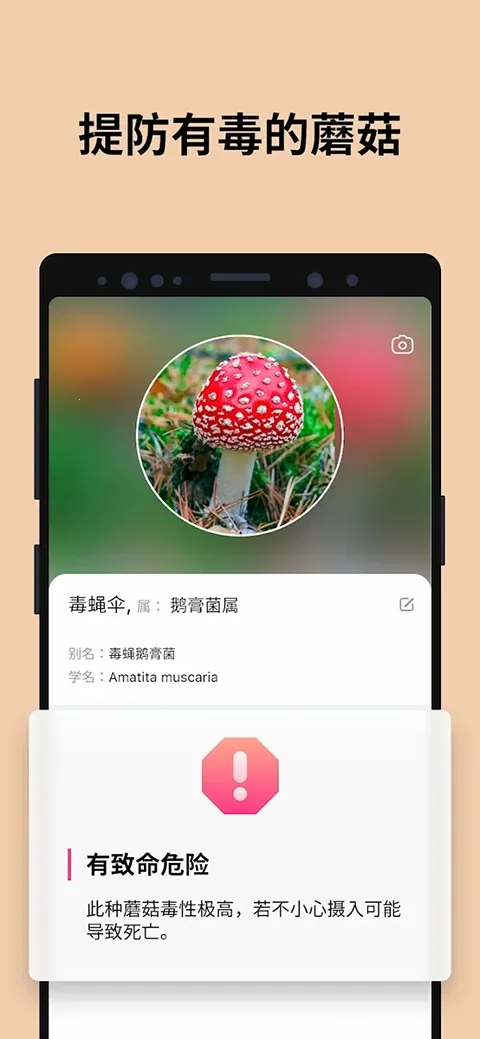 Picture Mushroom(Ģ��ʶ������)v2.9.30 ��׿��