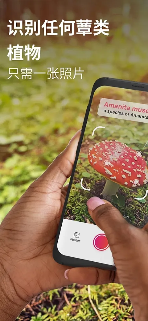 Picture Mushroom(Ģ��ʶ������)v2.9.30 ��׿��