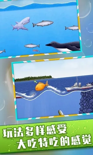 ��ζ������������