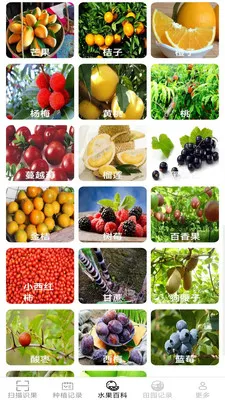 �౦��԰2026�ٷ�����v2.6.7.3 �ٷ�����