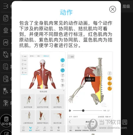 ά����3D����2026���°汾