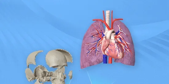 ά����3D����2026���°汾