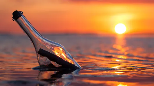 ���Ư��ƿ�����ֻ���