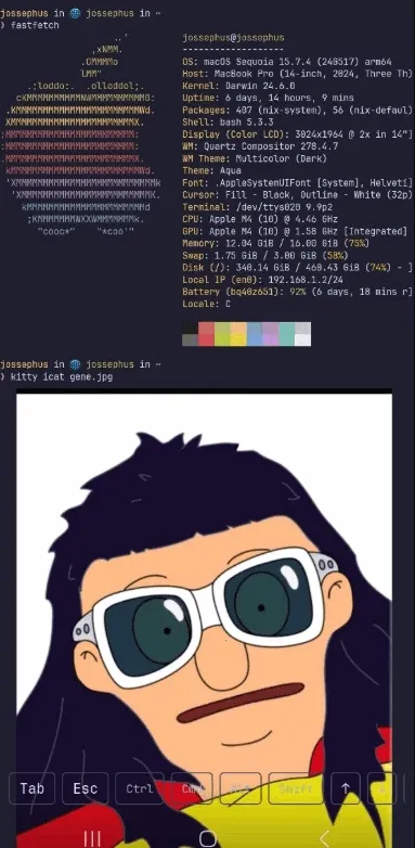 chuchu�����ֻ���v1.0 �ٷ�����