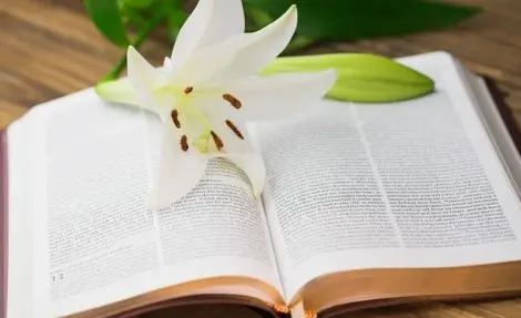 ����С˵(���С˵�Ķ�)