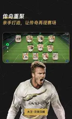 FC��������������ع��(���򾺼�����)v31.0.02 �ֻ���