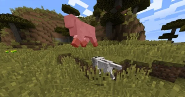 CAT�Ƽ�2026���°汾v1.0 �ֻ���