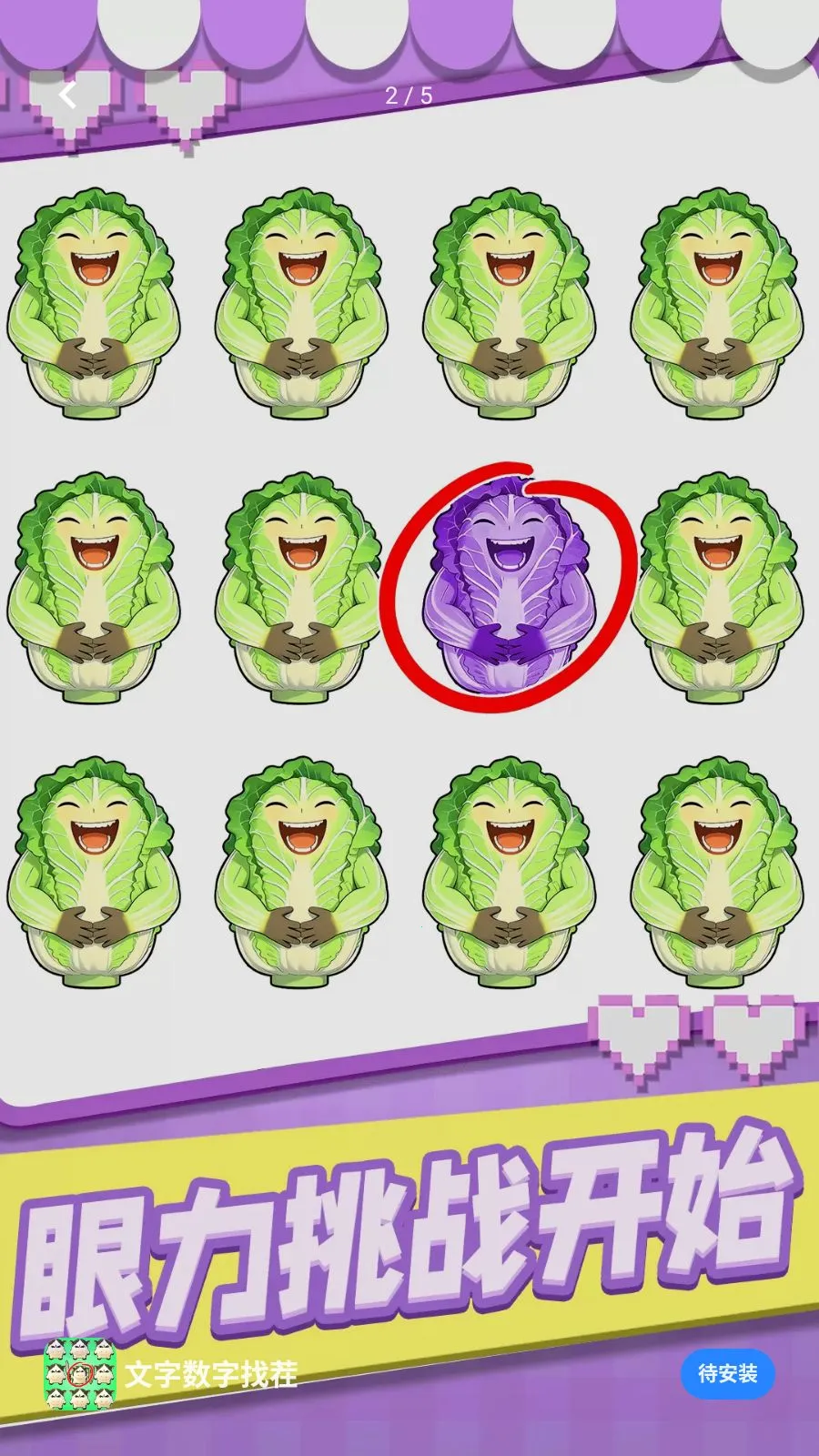 ���������Ҳ�2026�ٷ�����v1.0.1 �ֻ���