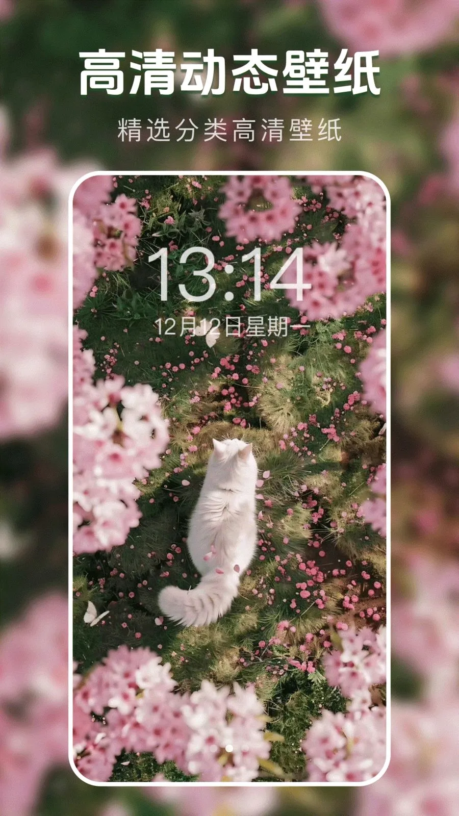 ��̬�����ֽ��v1.0.0 �ֻ���