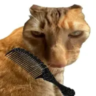 ��è��ëv1.0 �ֻ���