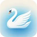 chok�ɸ����ӰԺ�����������ֻ���v1.3.0 ��׿��