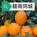 ����ͬ��v15.2.0 �ֻ���