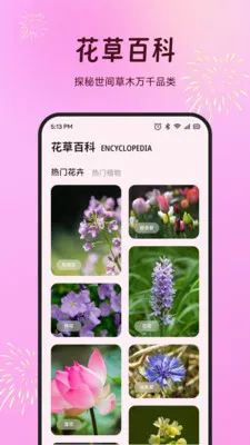 ���׻��������ֻ���v1.1 �ֻ���