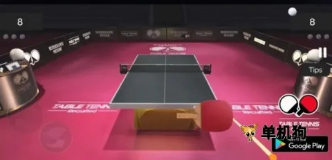 ��ʵƹ����2026���°汾