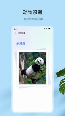 ɨ��ȫ����ʶ��v9.6.6 �ֻ���