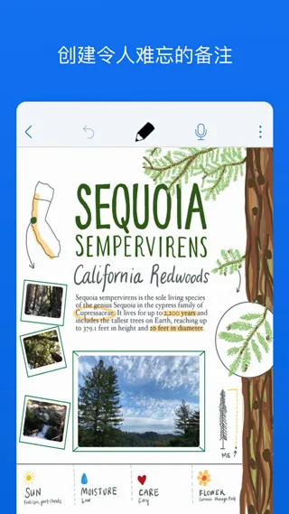 Notability�����ֻ���v7.0.0 �ֻ���