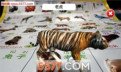 ʶ��ħ��22026�ٷ����°汾