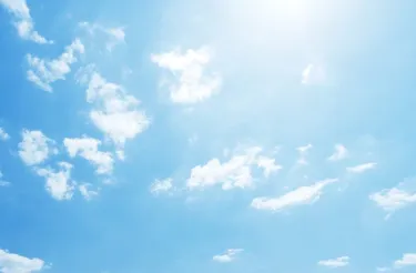 �ʺ�����